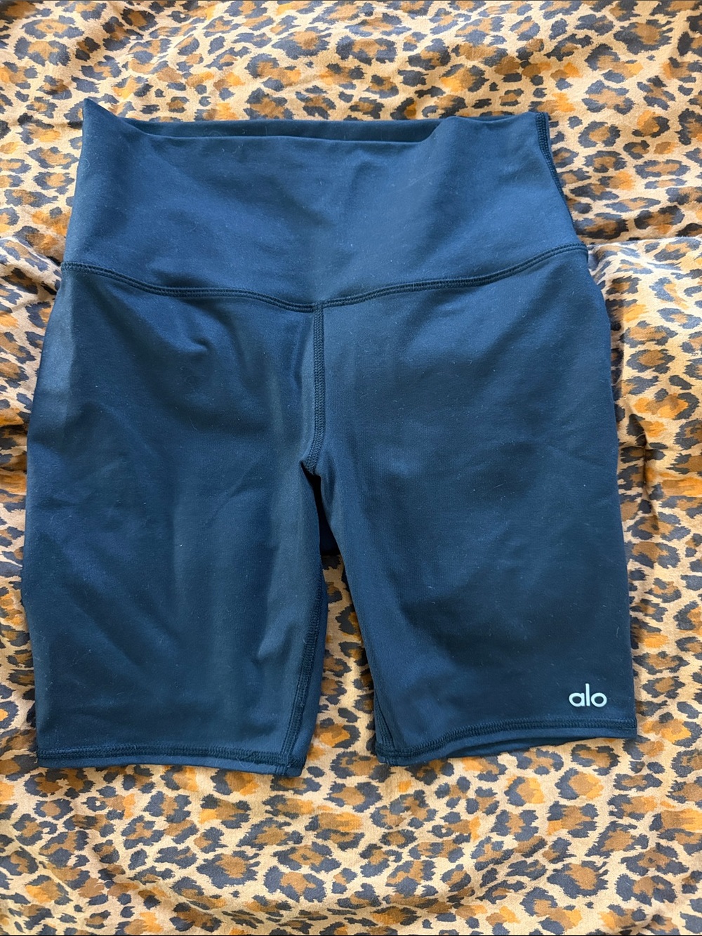 ALO Yoga Black High-Rise Bike Shorts